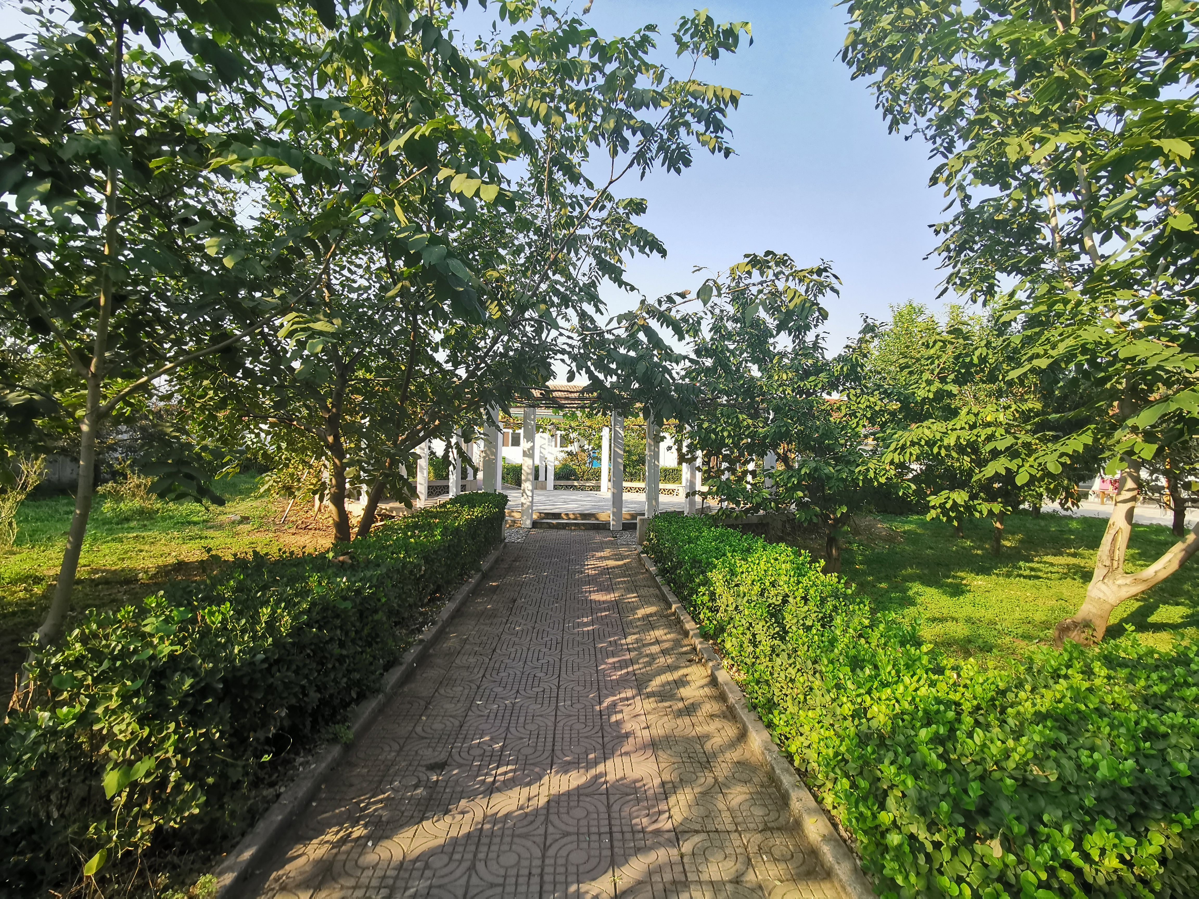 北京千禾養老（認知癥照護基地）